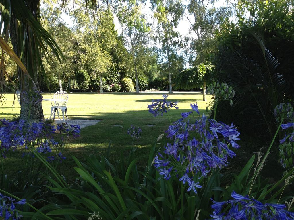 Bed and Breakfast Blairgowrie House Cambridge Zewnętrze zdjęcie