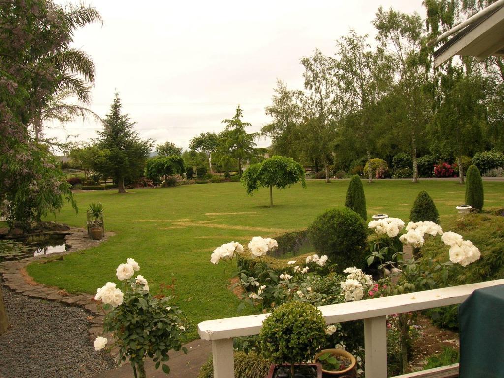 Bed and Breakfast Blairgowrie House Cambridge Zewnętrze zdjęcie