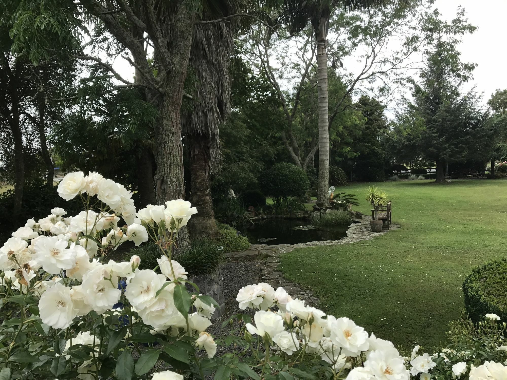 Bed and Breakfast Blairgowrie House Cambridge Zewnętrze zdjęcie