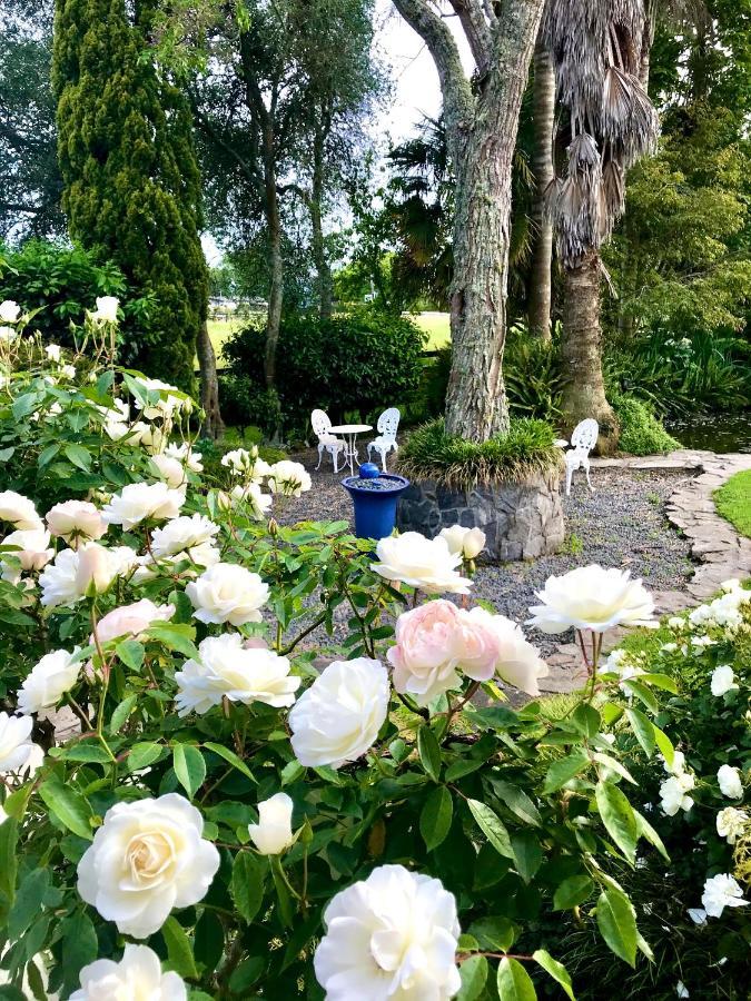 Bed and Breakfast Blairgowrie House Cambridge Zewnętrze zdjęcie